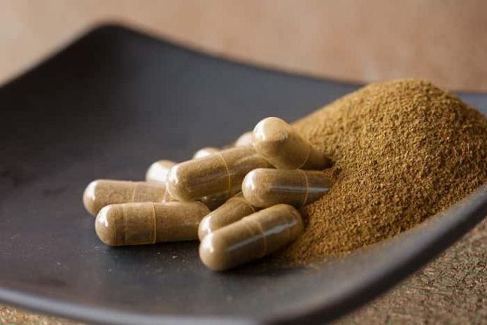 Wellness Redefined: Exploring the Benefits of Kratom Capsules