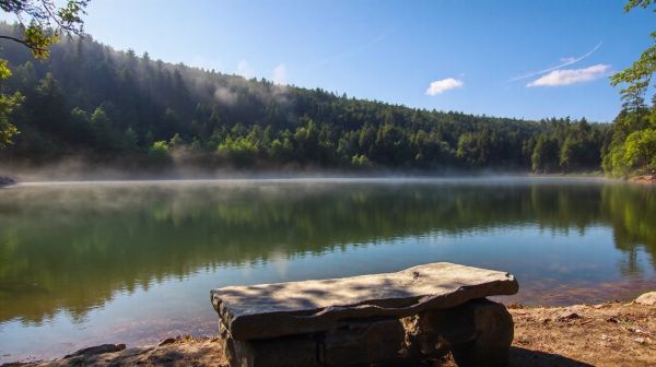 Les problématiques environnementales actuelles à considérer