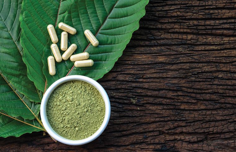 Identifying the Most Effective Kratom Extracts—A A complete Guide